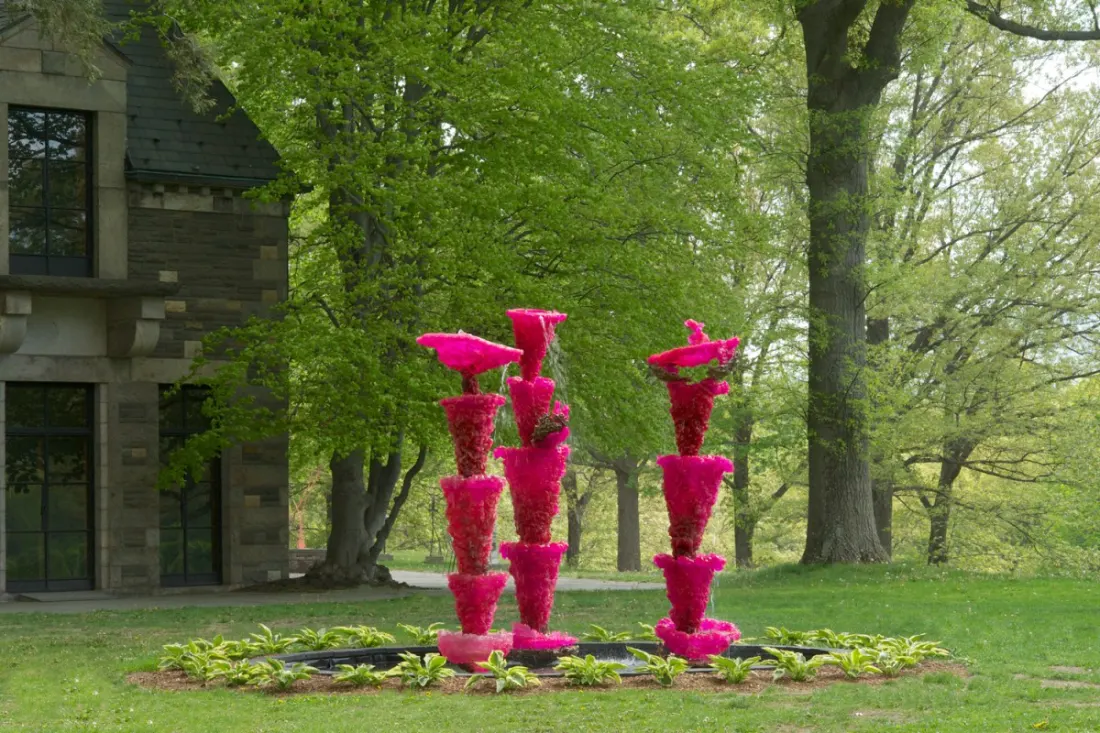 pinkladies